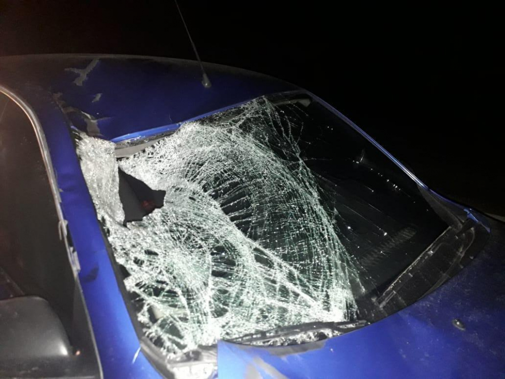 На Ставрополье в ДТП погиб пешеход На Ставрополье в ДТП погиб пешеход