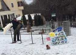 "Это ведь живодерство!": ессентучан возмутило использование животных для фотоаттракциона зимой "Это ведь живодерство!": ессентучан возмутило использование животных для фотоаттракциона зимой