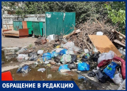Загаженная контейнерная площадка отравляет жизнь жителям нескольких домов Ставрополя Загаженная контейнерная площадка отравляет жизнь жителям нескольких домов Ставрополя