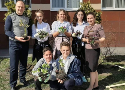 Ставропольские школьники начали выращивать краснокнижные растения Ставропольские школьники начали выращивать краснокнижные растения
