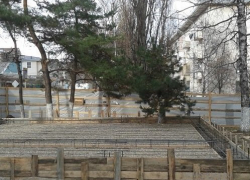 В Кисловодске строители "похоронили" дерево под слоем бетона В Кисловодске строители "похоронили" дерево под слоем бетона