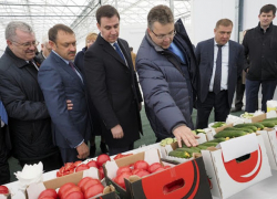 Ставрополье может изменить курс от пшеницы к ягодам и травам Ставрополье может изменить курс от пшеницы к ягодам и травам