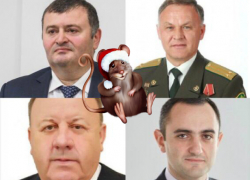 Крысы в ставропольской власти: кто они? Крысы в ставропольской власти: кто они?