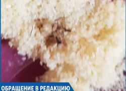 Мертвую моль обнаружила в пачке манной крупы жительница Ставрополя Мертвую моль обнаружила в пачке манной крупы жительница Ставрополя
