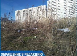 Гетто на окраине Ставрополя: заброшенный район погряз в темноте, клещах и горах мусора Гетто на окраине Ставрополя: заброшенный район погряз в темноте, клещах и горах мусора