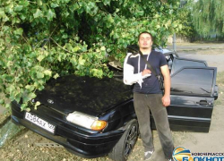 Житель Ставрополя врезался в дерево в Новочеркасске Житель Ставрополя врезался в дерево в Новочеркасске