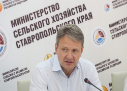 Сенсационное заявление об обрушении российского рынка молока сделал министр сельского хозяйства в Ставрополе Сенсационное заявление об обрушении российского рынка молока сделал министр сельского хозяйства в Ставрополе