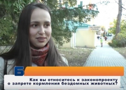 "Если закон примут, мы его будем нарушать": ставропольцы о штрафах за кормление бездомных животных "Если закон примут, мы его будем нарушать": ставропольцы о штрафах за кормление бездомных животных