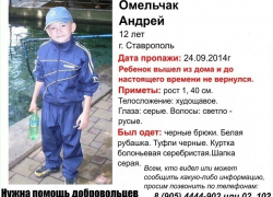 В Ставрополе пропал 12-летний мальчик В Ставрополе пропал 12-летний мальчик