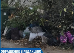 «На три улицы один мусорный контейнер», - жительница Ставрополя «На три улицы один мусорный контейнер», - жительница Ставрополя
