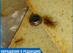 Необычная хлебная начинка удивила жителей Ставрополя Необычная хлебная начинка удивила жителей Ставрополя