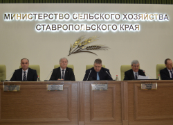 В краевой столице выбрали нового председателя Совета Ставропольской АККОР В краевой столице выбрали нового председателя Совета Ставропольской АККОР