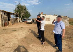 Фермера из Калмыкии осудили за удерживание ставропольчанина в трудовом рабстве Фермера из Калмыкии осудили за удерживание ставропольчанина в трудовом рабстве