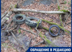 Ставропольчан просят помочь в утилизации автомобильных покрышек Ставропольчан просят помочь в утилизации автомобильных покрышек