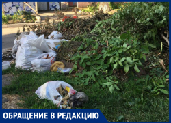Жители Ставрополя пожаловались на свалку в центре города Жители Ставрополя пожаловались на свалку в центре города
