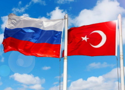 Производители Ставрополья заменят турецкие овощи в регионе Производители Ставрополья заменят турецкие овощи в регионе