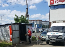 Рассадник вони и крыс в центре Юго-Западного района возмутил жительницу Ставрополя Рассадник вони и крыс в центре Юго-Западного района возмутил жительницу Ставрополя