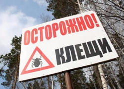На Ставрополье начинается эпидсезон Крымской геморрагической лихорадки На Ставрополье начинается эпидсезон Крымской геморрагической лихорадки