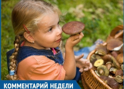 "Сезон открыт": как отличить ядовитый гриб от хорошего рассказал ставропольский биолог "Сезон открыт": как отличить ядовитый гриб от хорошего рассказал ставропольский биолог
