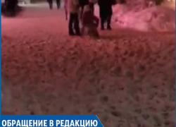 "Ходите, как хотите": жители Ставрополя устали от заваленных снегом тротуаров "Ходите, как хотите": жители Ставрополя устали от заваленных снегом тротуаров