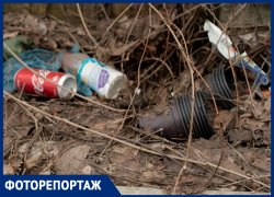 Природу не жалко, или как район Ставрополя тонет в мусоре Природу не жалко, или как район Ставрополя тонет в мусоре