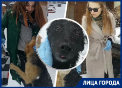 «Главное – не навредить»: ставропольские сестры-зоозащитницы о помощи бездомным животным «Главное – не навредить»: ставропольские сестры-зоозащитницы о помощи бездомным животным