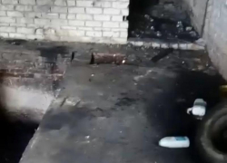 В Ставрополе подожгли заброшенную стройку с бездомными собаками В Ставрополе подожгли заброшенную стройку с бездомными собаками
