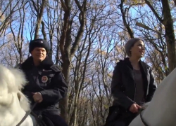 "Поскакали": как проходят будни конной полиции в Ставрополе "Поскакали": как проходят будни конной полиции в Ставрополе