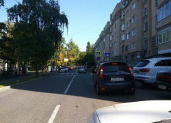 Агрессивные собаки бросаются на прохожих возле школы в центре Ставрополя Агрессивные собаки бросаются на прохожих возле школы в центре Ставрополя