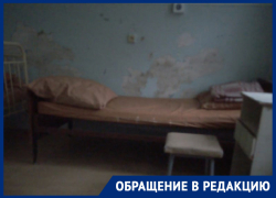 Клубки змей, хамовитые доктора и обшарпанные стены: жительница Ипатовского горокурга о реалиях местной медицины Клубки змей, хамовитые доктора и обшарпанные стены: жительница Ипатовского горокурга о реалиях местной медицины