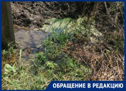 По колено в воде: расчистка русла Члы в Михайловске вызвала возмущение у местных жителей По колено в воде: расчистка русла Члы в Михайловске вызвала возмущение у местных жителей