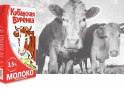 В Ставрополе в молоке "Кубанской Буренки" обнаружили превышенное содержание антибиотиков В Ставрополе в молоке "Кубанской Буренки" обнаружили превышенное содержание антибиотиков