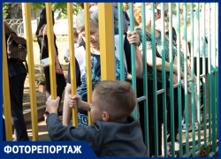 Лишили детей праздника: ставропольцы оккупировали заборы школ чтобы увидеть линейку Лишили детей праздника: ставропольцы оккупировали заборы школ чтобы увидеть линейку