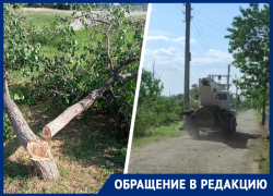 Вместо обпила верхушек деревьев бригада электриков под корень вырубила лесополосу в станице Рождественской Вместо обпила верхушек деревьев бригада электриков под корень вырубила лесополосу в станице Рождественской
