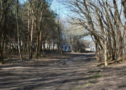 В Таманском лесу Ставрополя убрали незаконные гаражи В Таманском лесу Ставрополя убрали незаконные гаражи