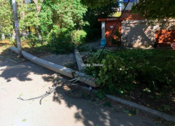 Дерево рухнуло вместе со столбами на улице в Ставрополе Дерево рухнуло вместе со столбами на улице в Ставрополе