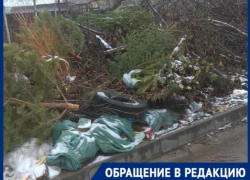 «Я не я и хата не моя»: компании не желают нести ответственность за стихийную свалку в Ставрополе «Я не я и хата не моя»: компании не желают нести ответственность за стихийную свалку в Ставрополе
