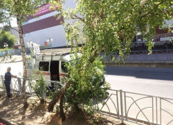 Отвратительные черви завалили дерево на пешеходную дорожку в Ставрополе Отвратительные черви завалили дерево на пешеходную дорожку в Ставрополе