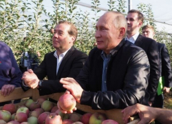 Владимир Путин похвалил ставропольские яблоки Владимир Путин похвалил ставропольские яблоки