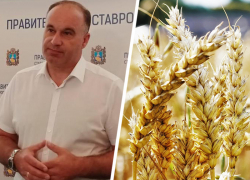 Минсельхоз Ставрополья: ущерб посевам от непогоды оценивается в миллиард рублей Минсельхоз Ставрополья: ущерб посевам от непогоды оценивается в миллиард рублей