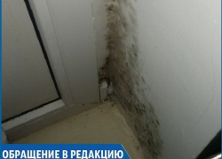 В нашем доме температура опускалась до +14 градусов во время морозов, - жительница Железноводска В нашем доме температура опускалась до +14 градусов во время морозов, - жительница Железноводска