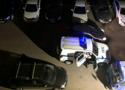 На юге Ставрополя девушка с собакой обнаружила труп неизвестного На юге Ставрополя девушка с собакой обнаружила труп неизвестного