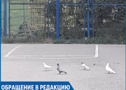 «Детям теперь негде играть»: в одном из дворов Ставрополя женщина вырезала футбольные ворота «Детям теперь негде играть»: в одном из дворов Ставрополя женщина вырезала футбольные ворота