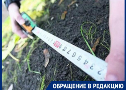 Жительница Ставрополья 10 лет борется с властями за право собственности на свой участок Жительница Ставрополья 10 лет борется с властями за право собственности на свой участок
