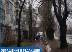 «Ветки падают на тротуар рядом со школой, а ведь там ходят дети», - жительница Ставрополя «Ветки падают на тротуар рядом со школой, а ведь там ходят дети», - жительница Ставрополя