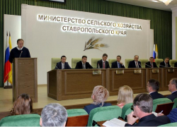 Минсельхоз Ставрополья наградит аграриев канцелярией на 300 тысяч рублей Минсельхоз Ставрополья наградит аграриев канцелярией на 300 тысяч рублей