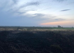 Пожар на ячменном поле в Ставропольского крае обошелся без жертв Пожар на ячменном поле в Ставропольского крае обошелся без жертв