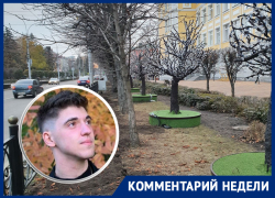«Мы заняты красивой оберткой»: ставропольский урбанист о новогоднем декоре за 64 миллиона «Мы заняты красивой оберткой»: ставропольский урбанист о новогоднем декоре за 64 миллиона