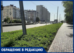 «Амброзия в подарок»: жительница Ставрополя пожаловалась на результат благоустройства двора «Амброзия в подарок»: жительница Ставрополя пожаловалась на результат благоустройства двора
