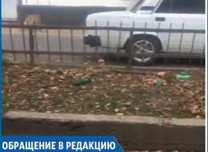 «Неужели так должен выглядеть исторический центр?» - жительница Ставрополя о районе Нижнего рынка «Неужели так должен выглядеть исторический центр?» - жительница Ставрополя о районе Нижнего рынка